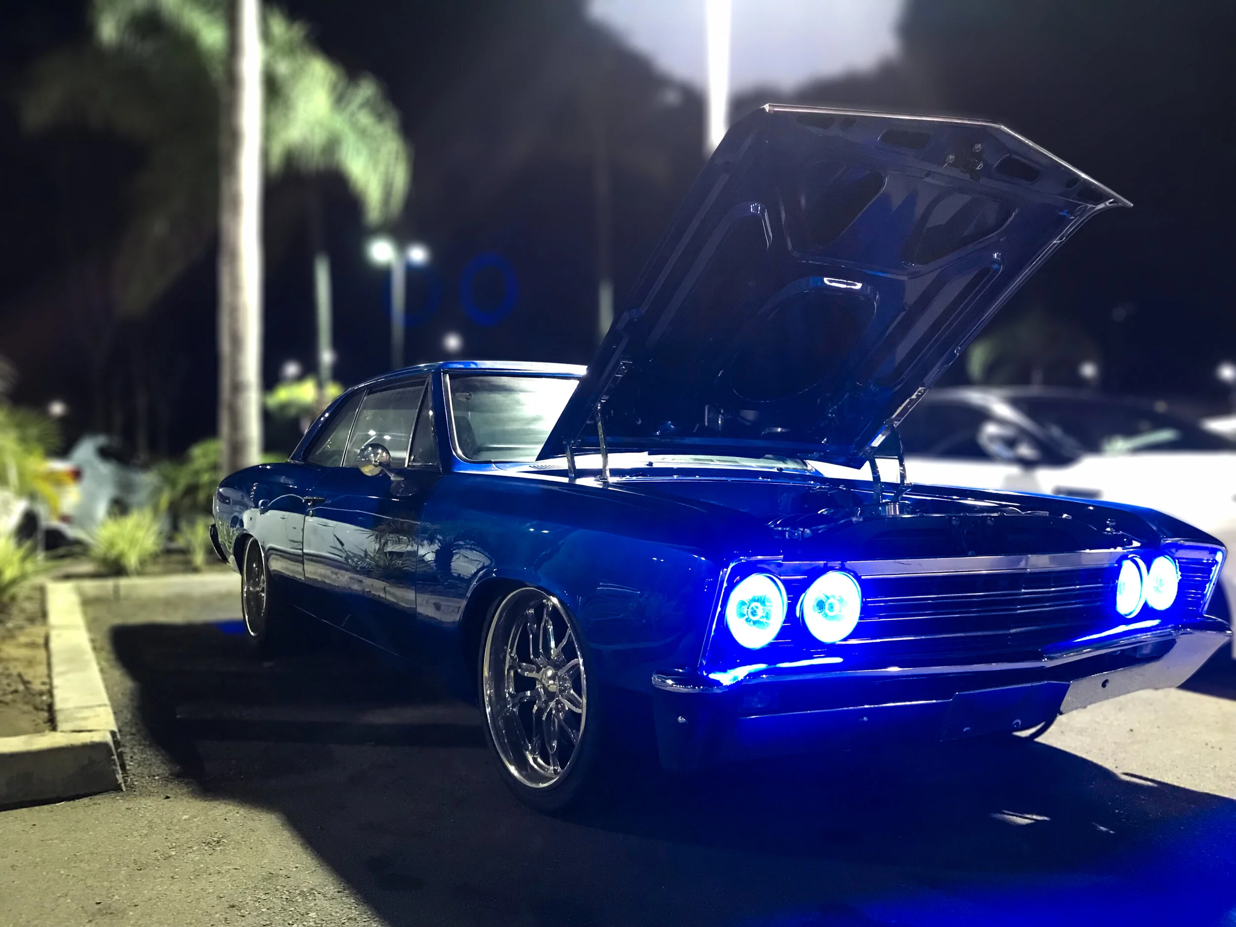 SpookyNights_03.jpg