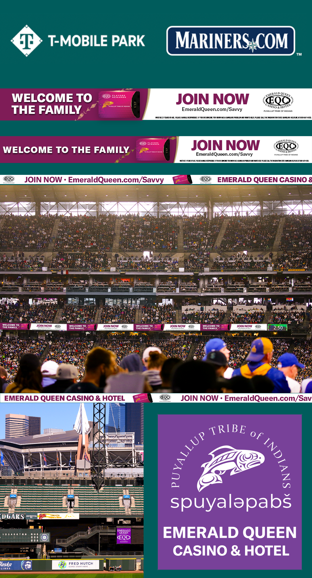 Mariners LED Ribbon Banners Portfolio.png