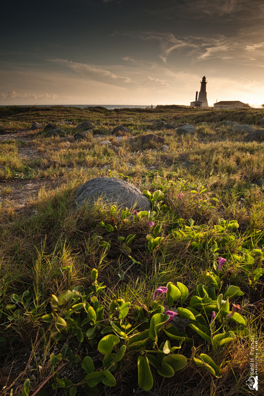 Palisadoes Lighthouse