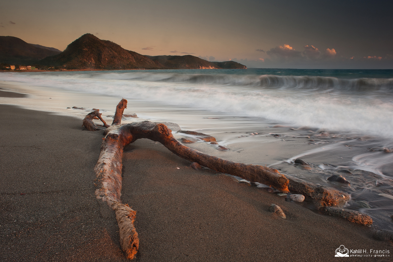 Beached Wood - Sugarloaf Hill 