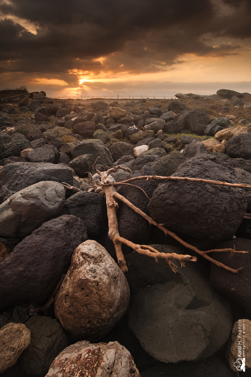 Palisadoes -  Rocks Driftwood and light