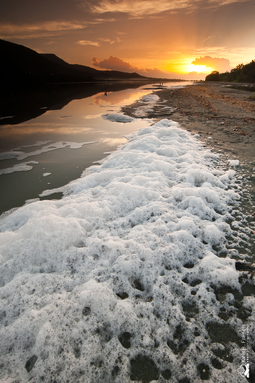 Foam - Yallahs Pond at Sunrise - St. Thomas