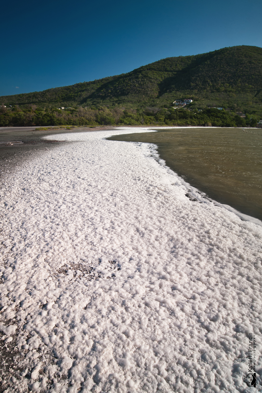 The Foam - Yallahs Pond - St. Thomas