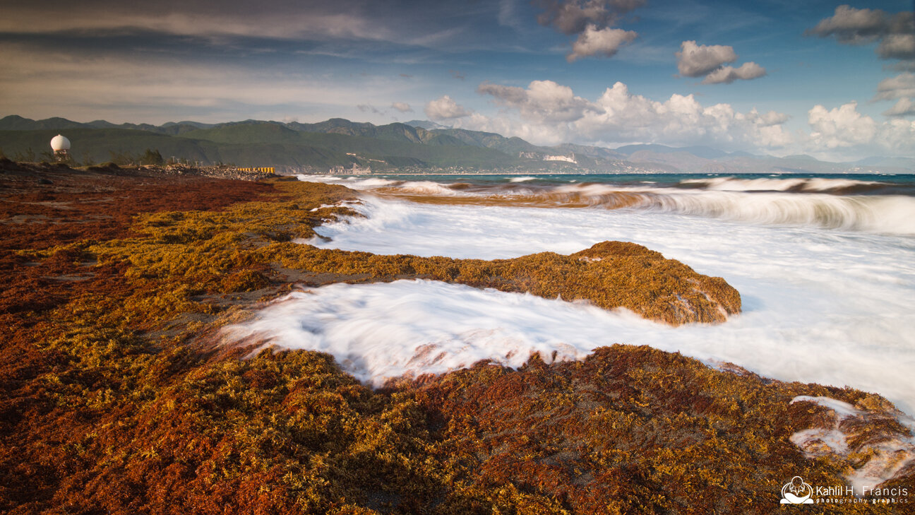 The Sargassum Beach - Plumb Point Lighthouse