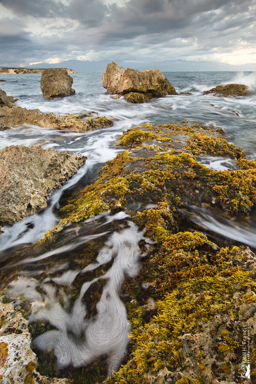 Rocks, Seaweed, Waves of Hellshire