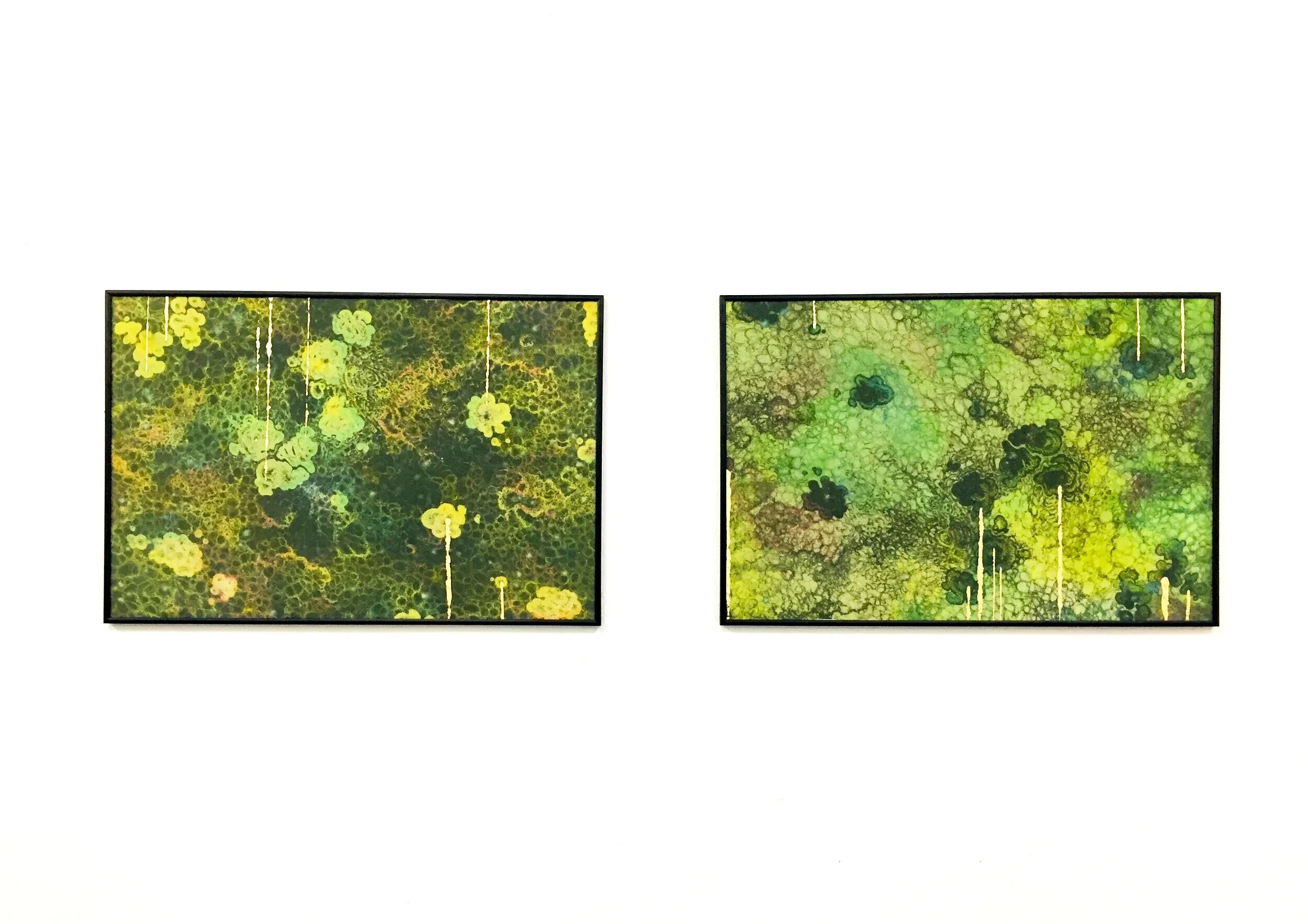 Micrographs: i, ii