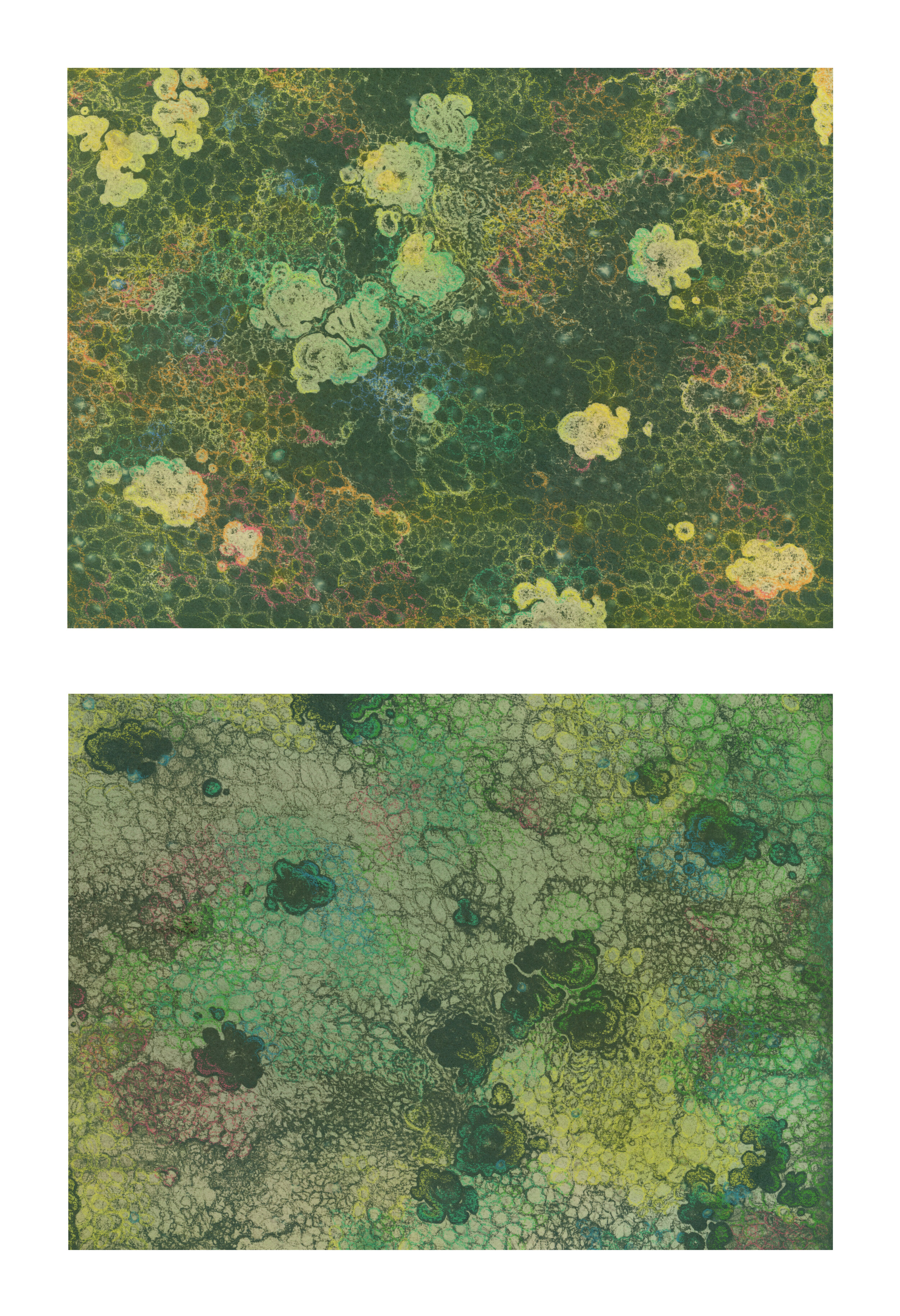 Micrograph No. 2