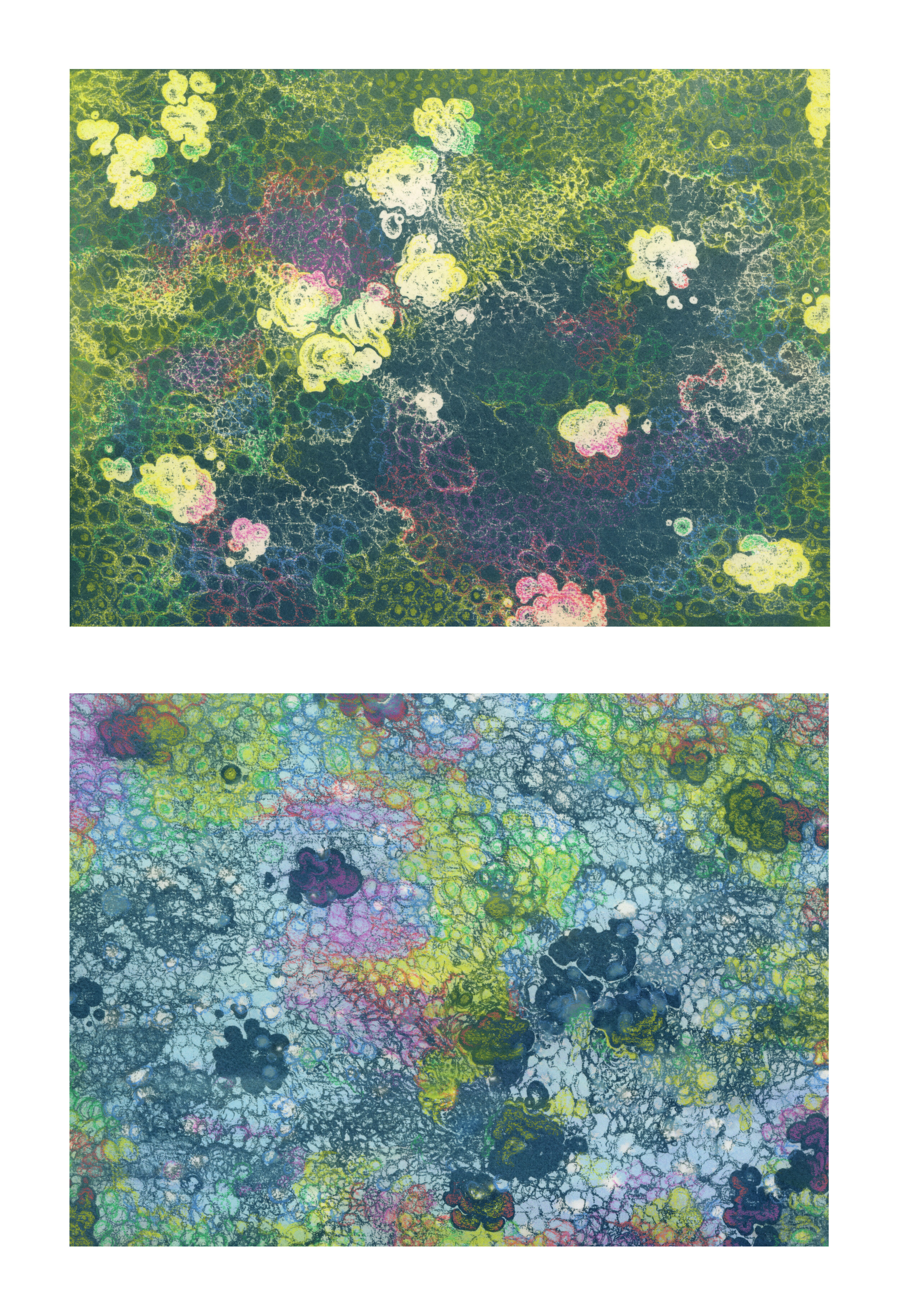 Micrograph No. 1