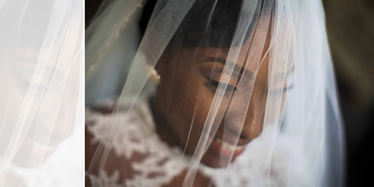 treniece_veil.jpg