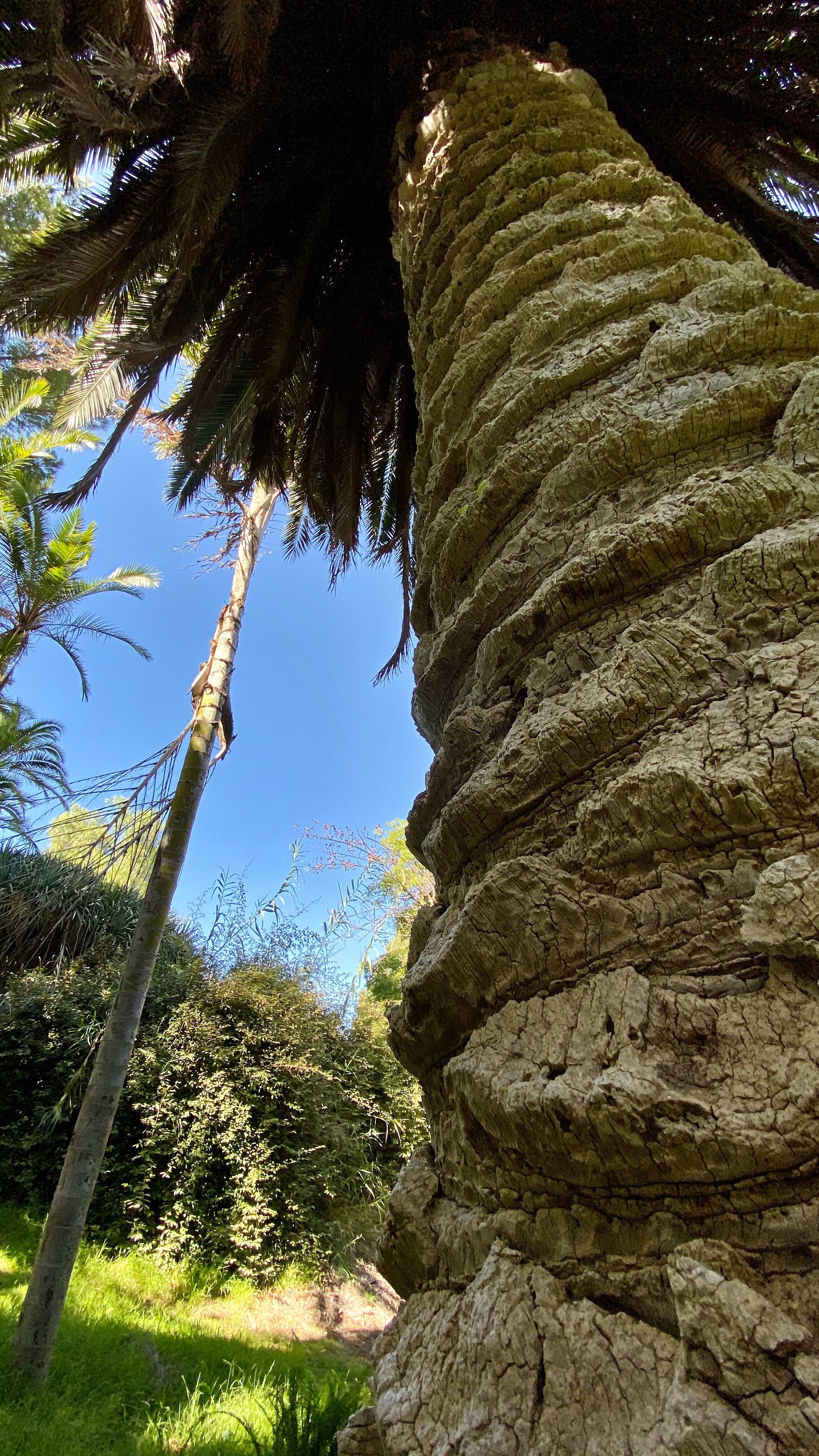 IMG_4283.jpeg