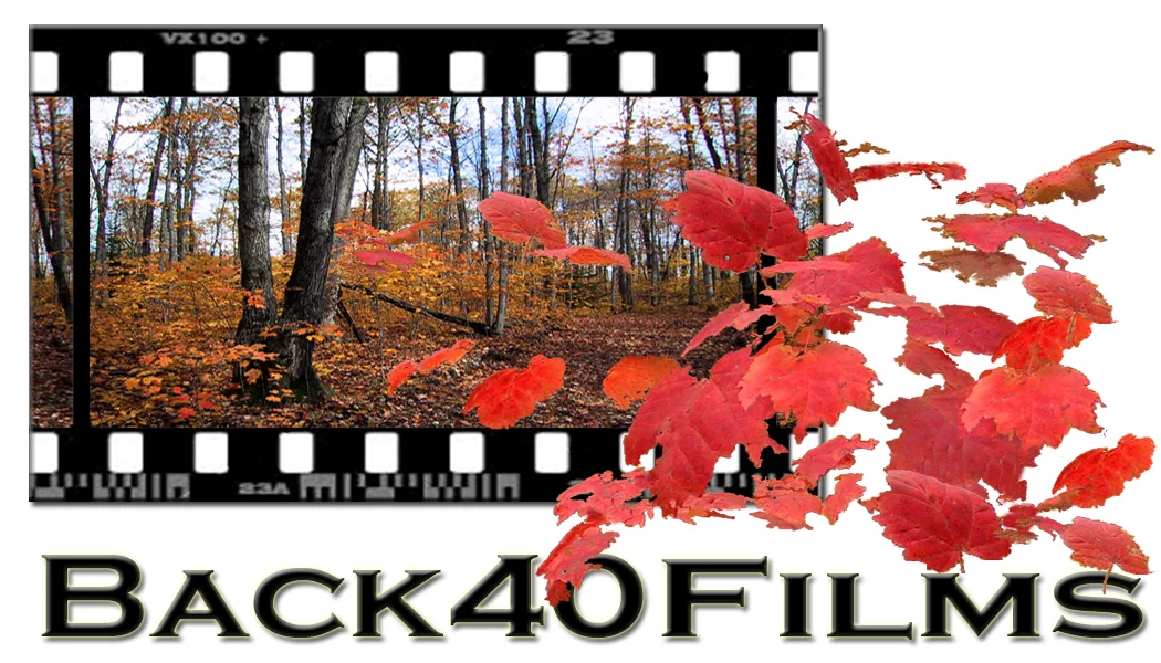 B40 logo 3.jpg