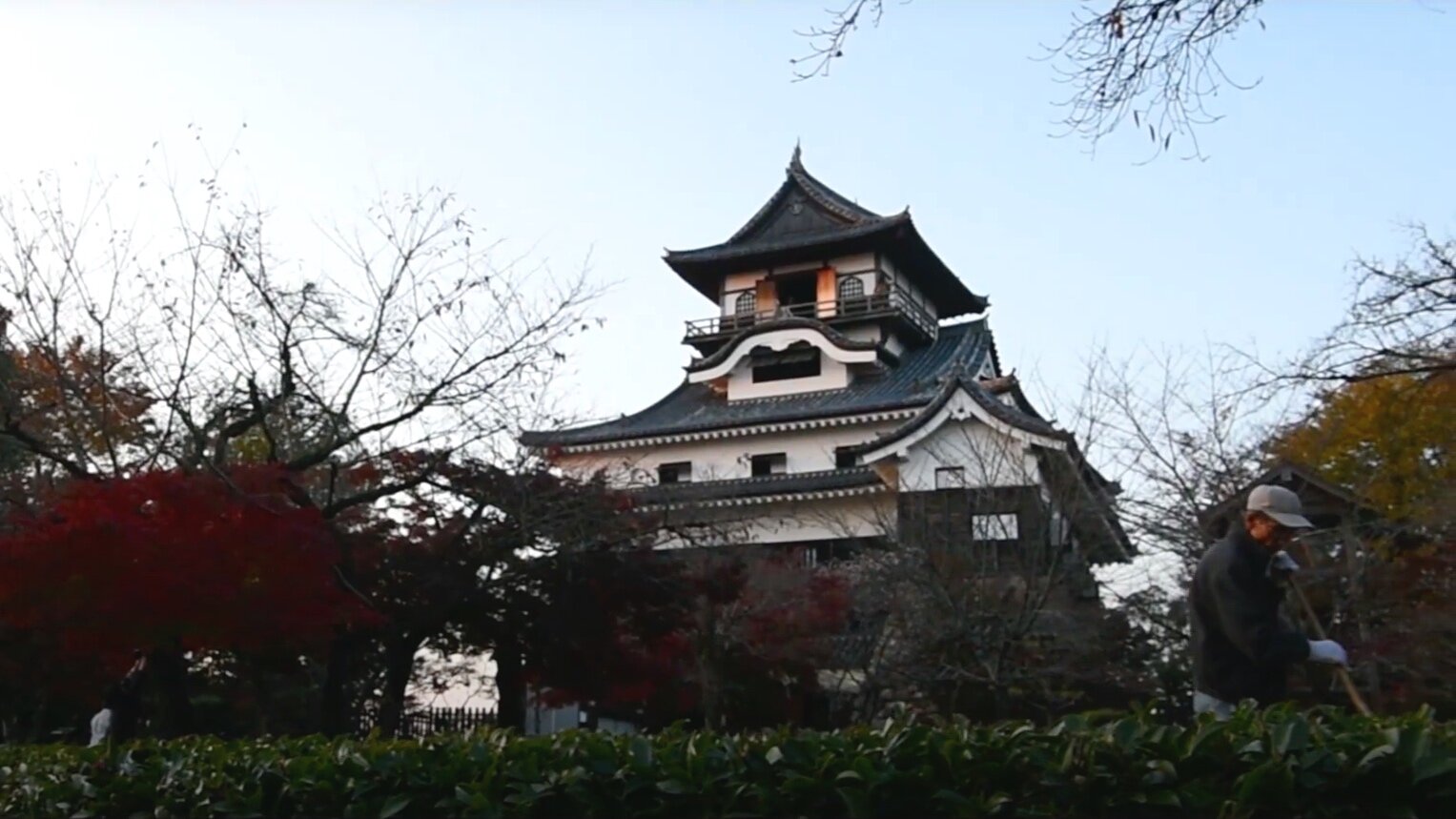 Travel Shinka