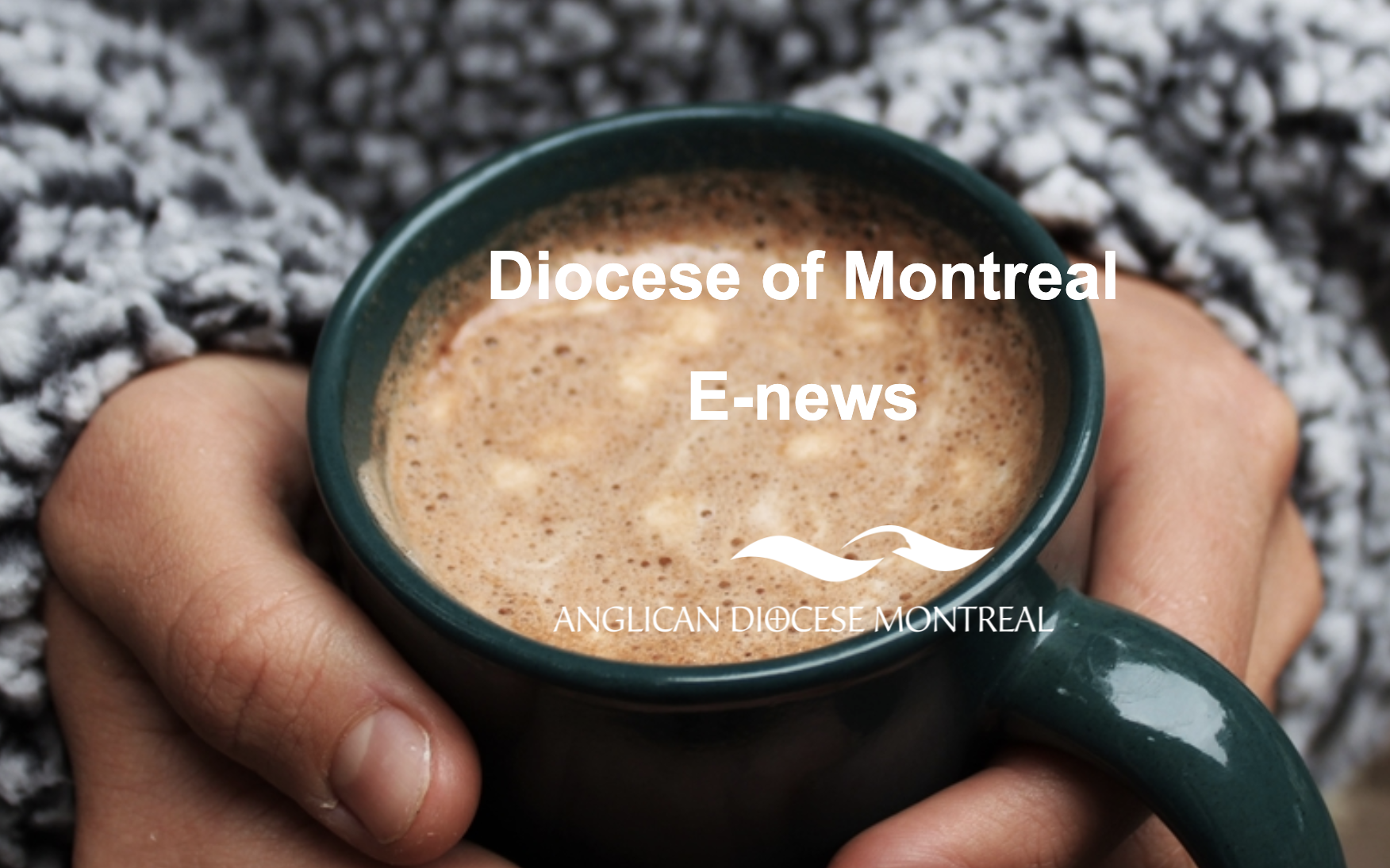 Diocesan weekly E-News February 3rd 2026