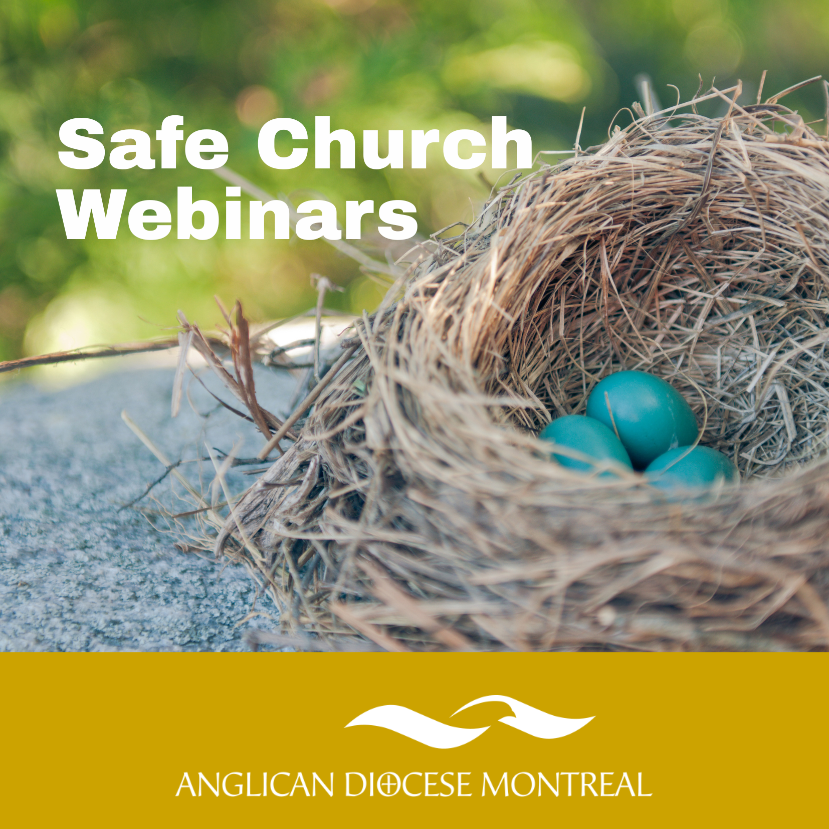 Webinar Trainings on Interim Safe Church Policy 