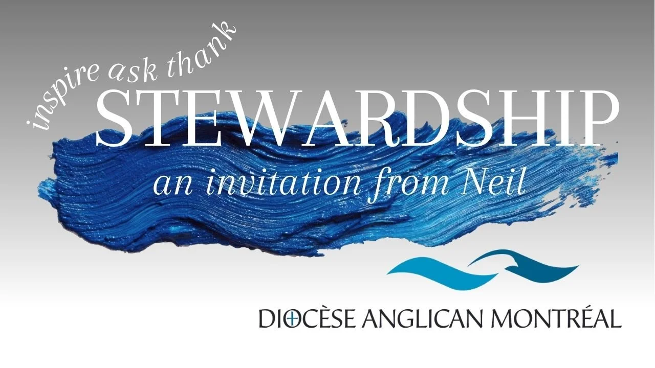 Announcing New Stewardship Video Series