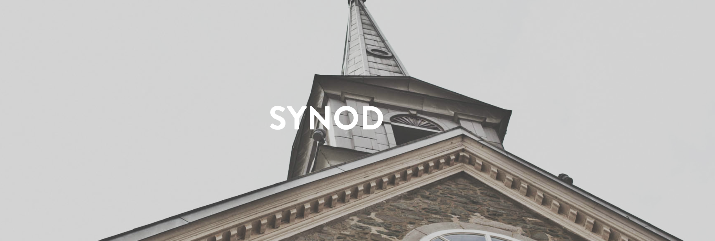 our next Diocesan SYNOD is Saturday, June 20th, 2026 