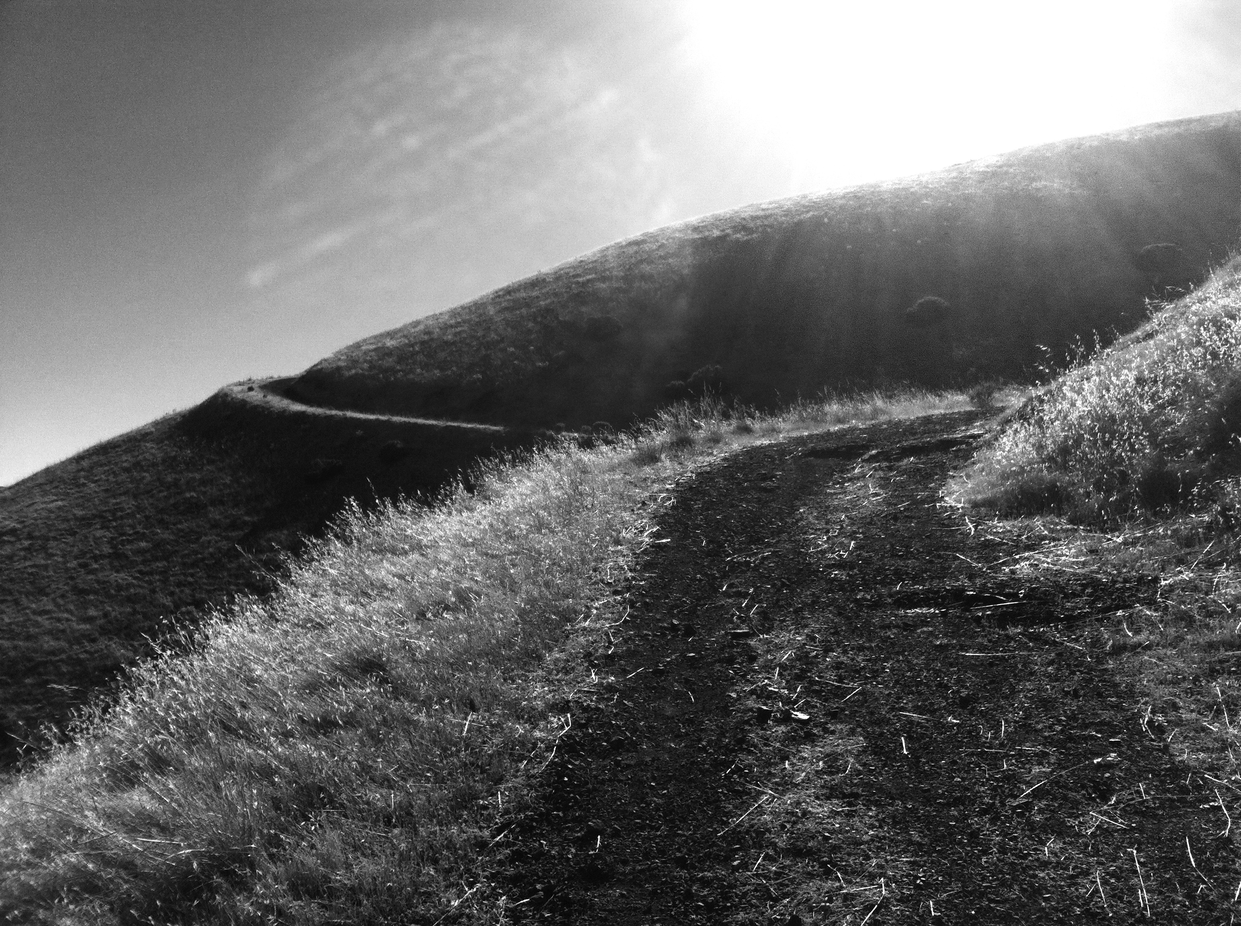 Sun walk, 2012. Shot with iPhone 4.