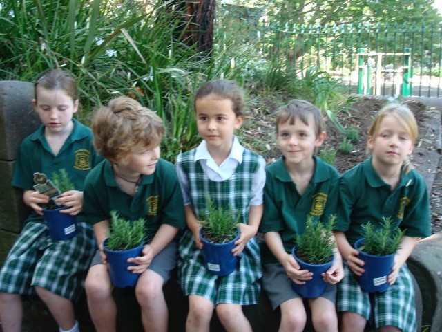 In 2009 a group of students helped plant Gallipoli Rosemary at our school! Find out more