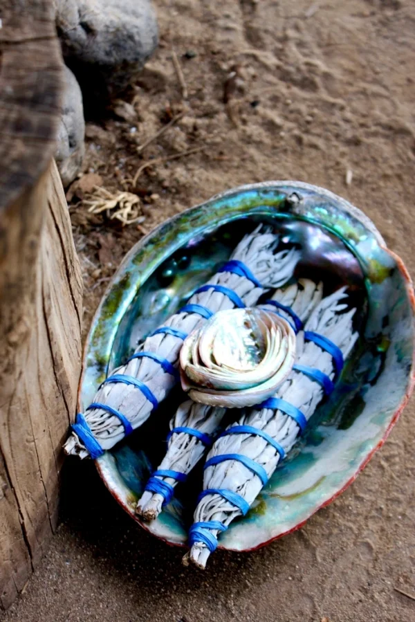 Wishtoyo Chumash Foundation Ceremony Honoring the Veterans and Water Defenders at Standing Rock