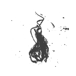 website-icons-ash.png