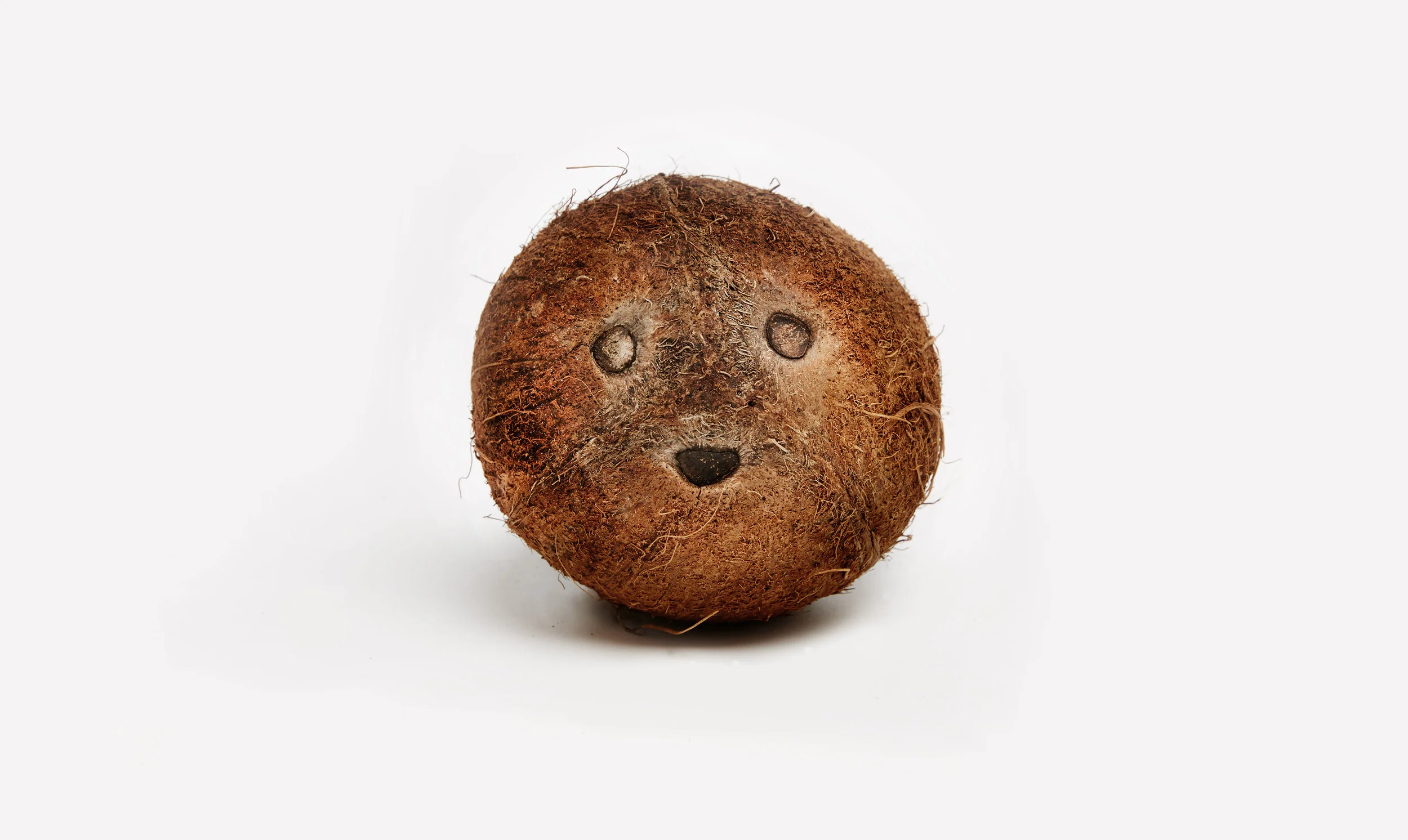 coco.jpg