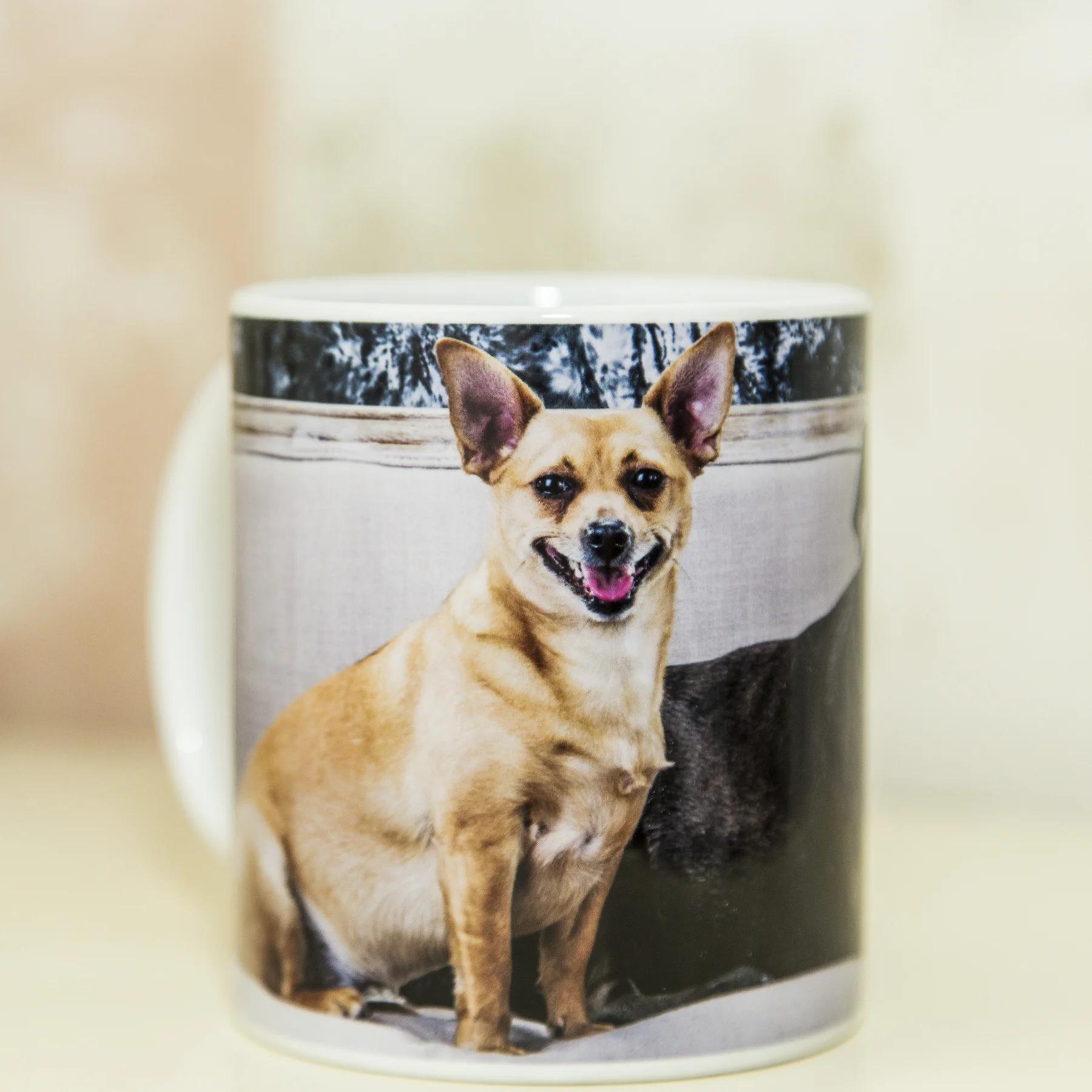 Ceramic Coffee Mug $25