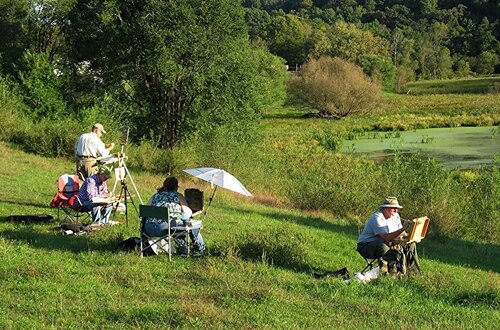 Plein Air Skunk Hollow Wetlands La Crescent 2018.jpg