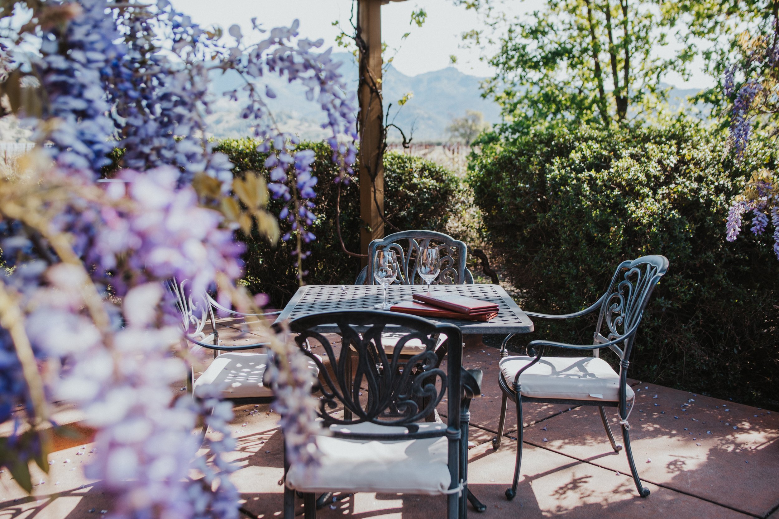 Why Spring Is One of the Best Times to Visit Napa Valley