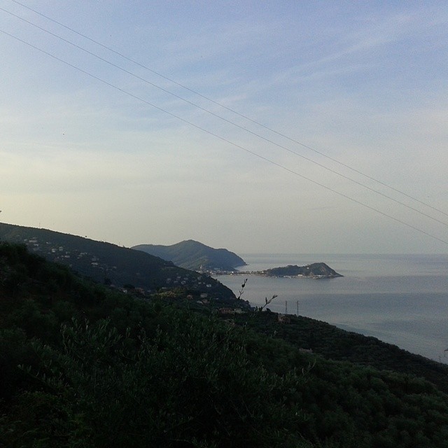 ..oggi &egrave; veramente lunga..ma avr&ograve; ricordi  campali...