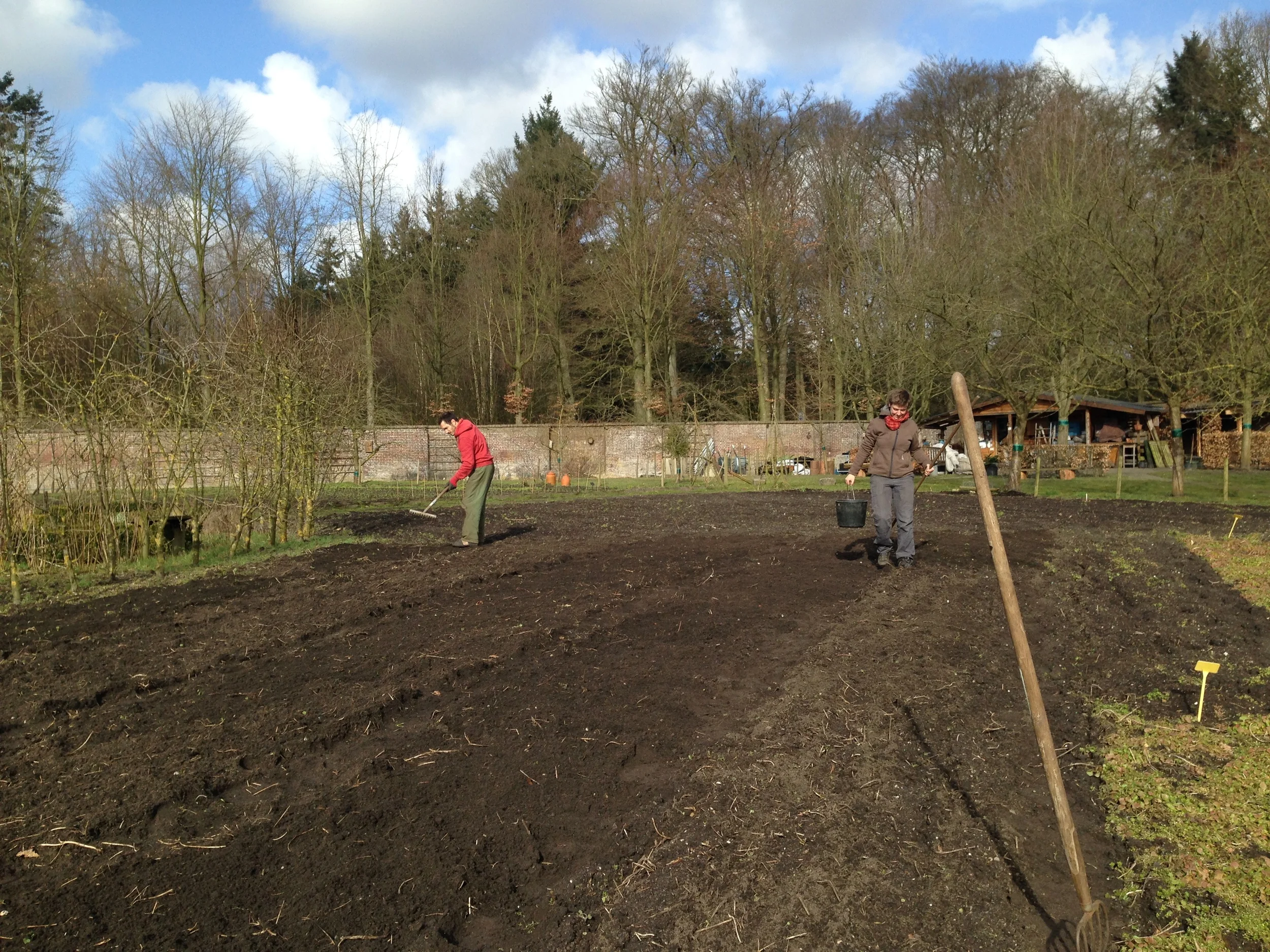 zaaibedden voorbereiden