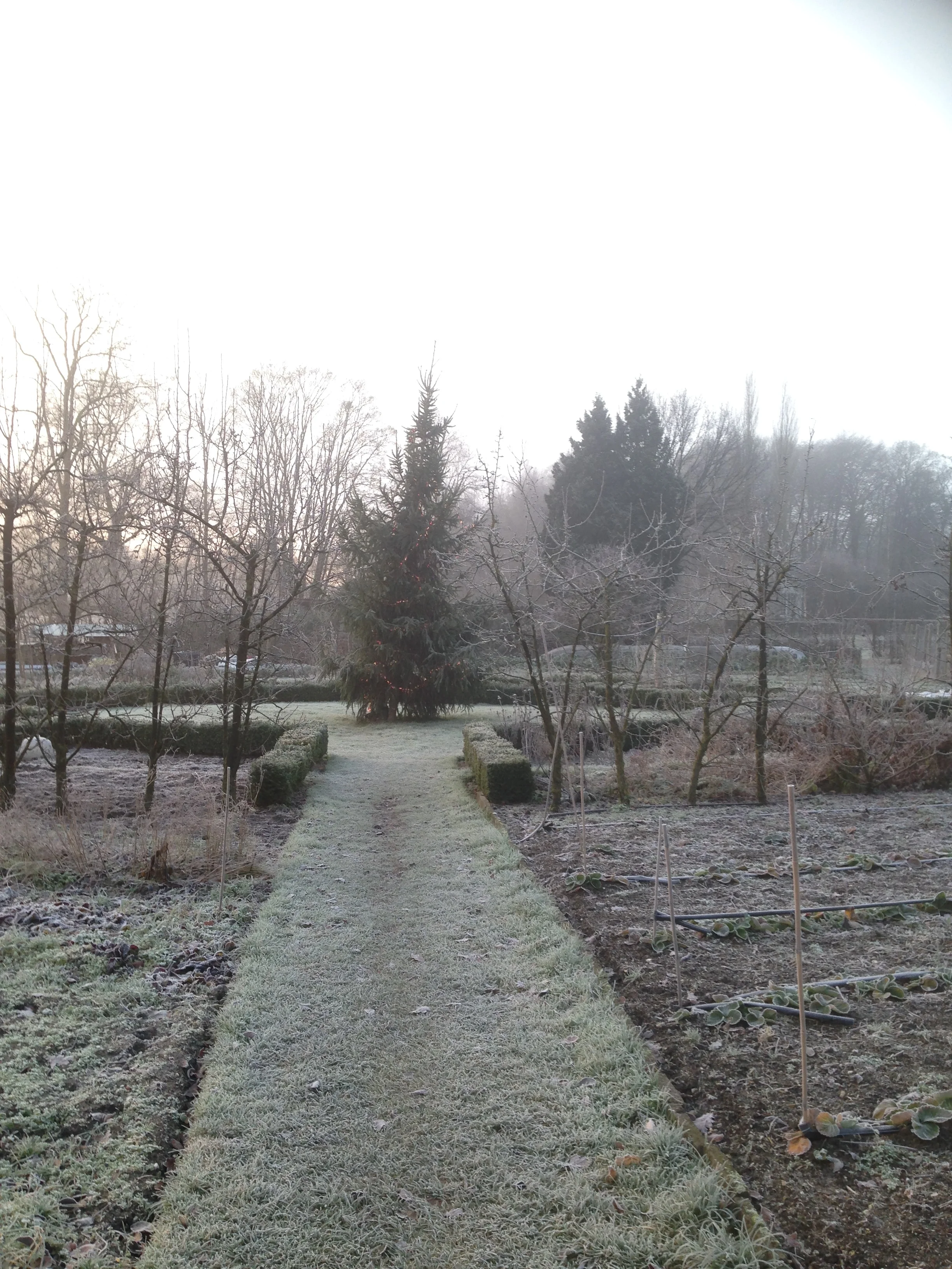 2016-12-20 09.15.45.jpg