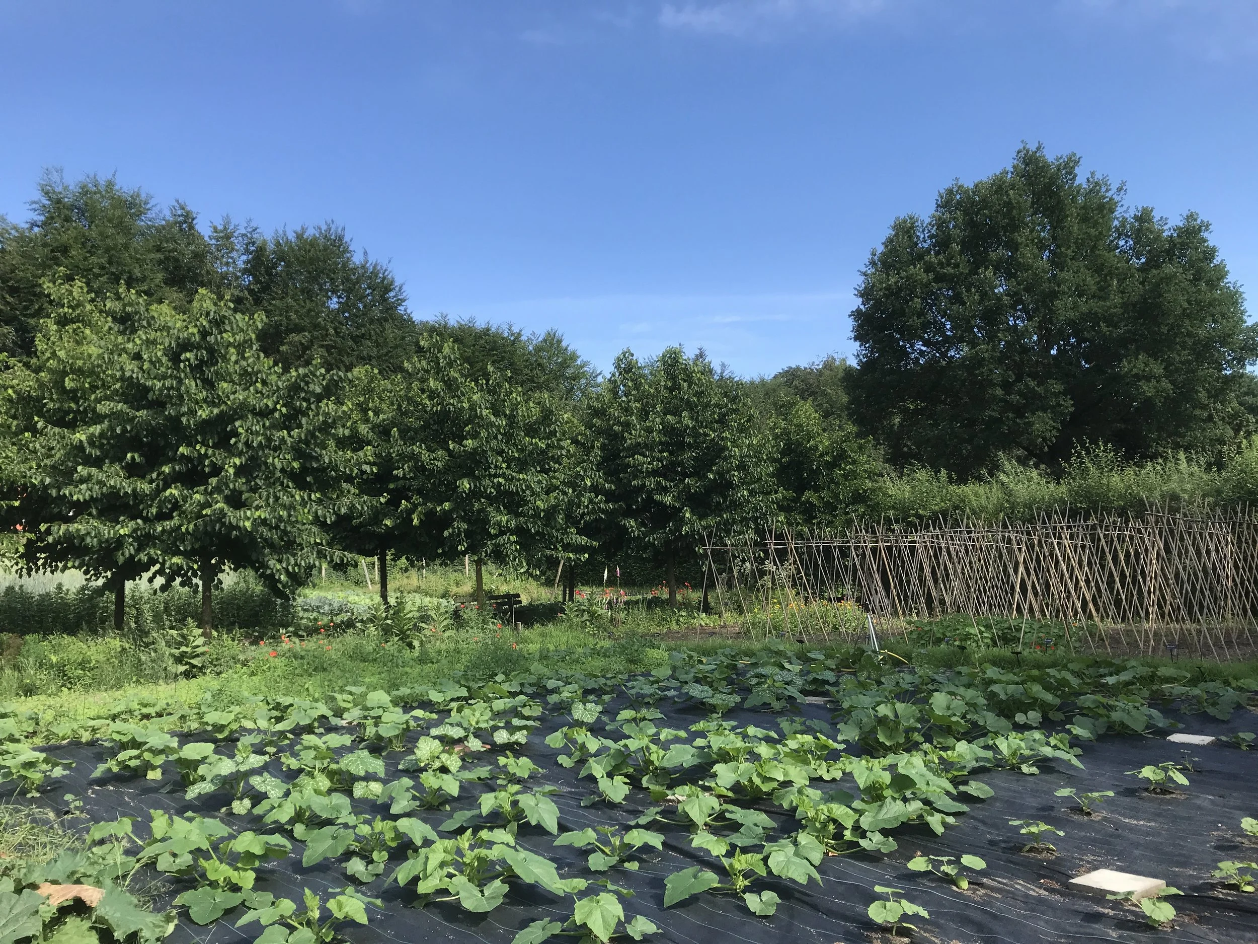 2018-06-11 10.15.33.jpg