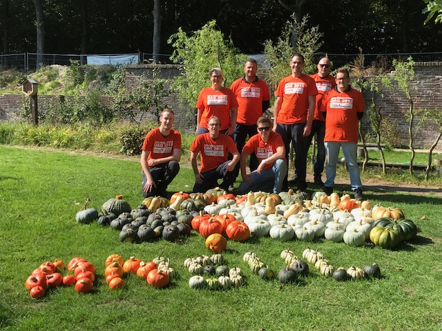 Ansul medewerkers helpen een handje mee met de pompoenoogst.