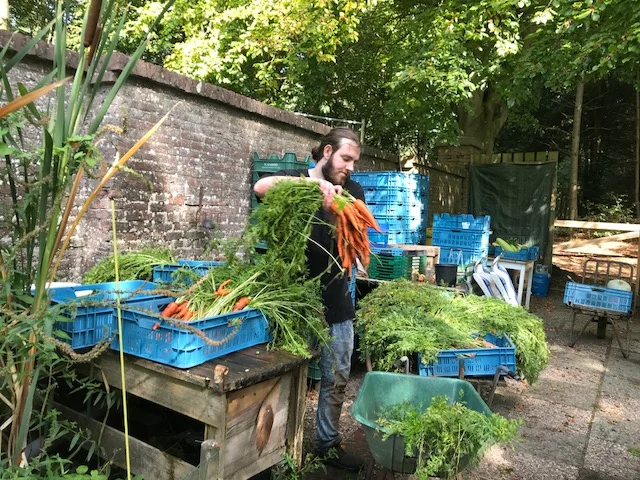 Pieter back to the roots