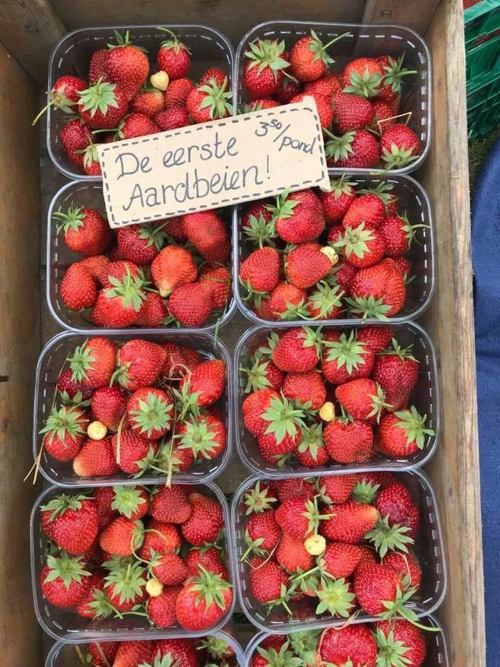 Aardbeien eerste.jpg