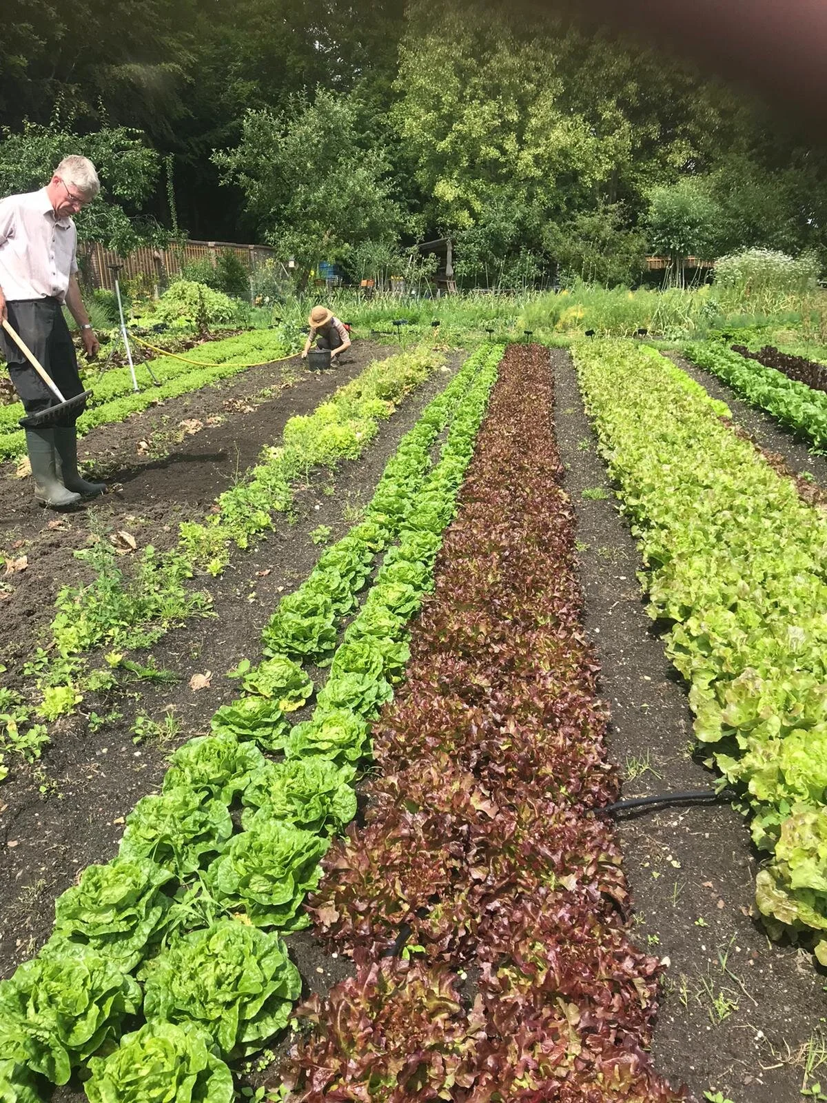 WhatsApp Image 2020-06-15 at 16.01.55.jpeg