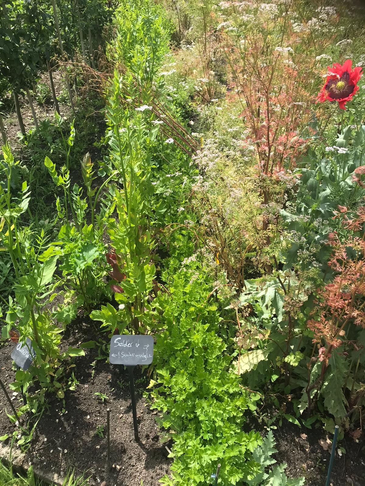 WhatsApp Image 2020-06-15 at 16.01.55 (1).jpeg