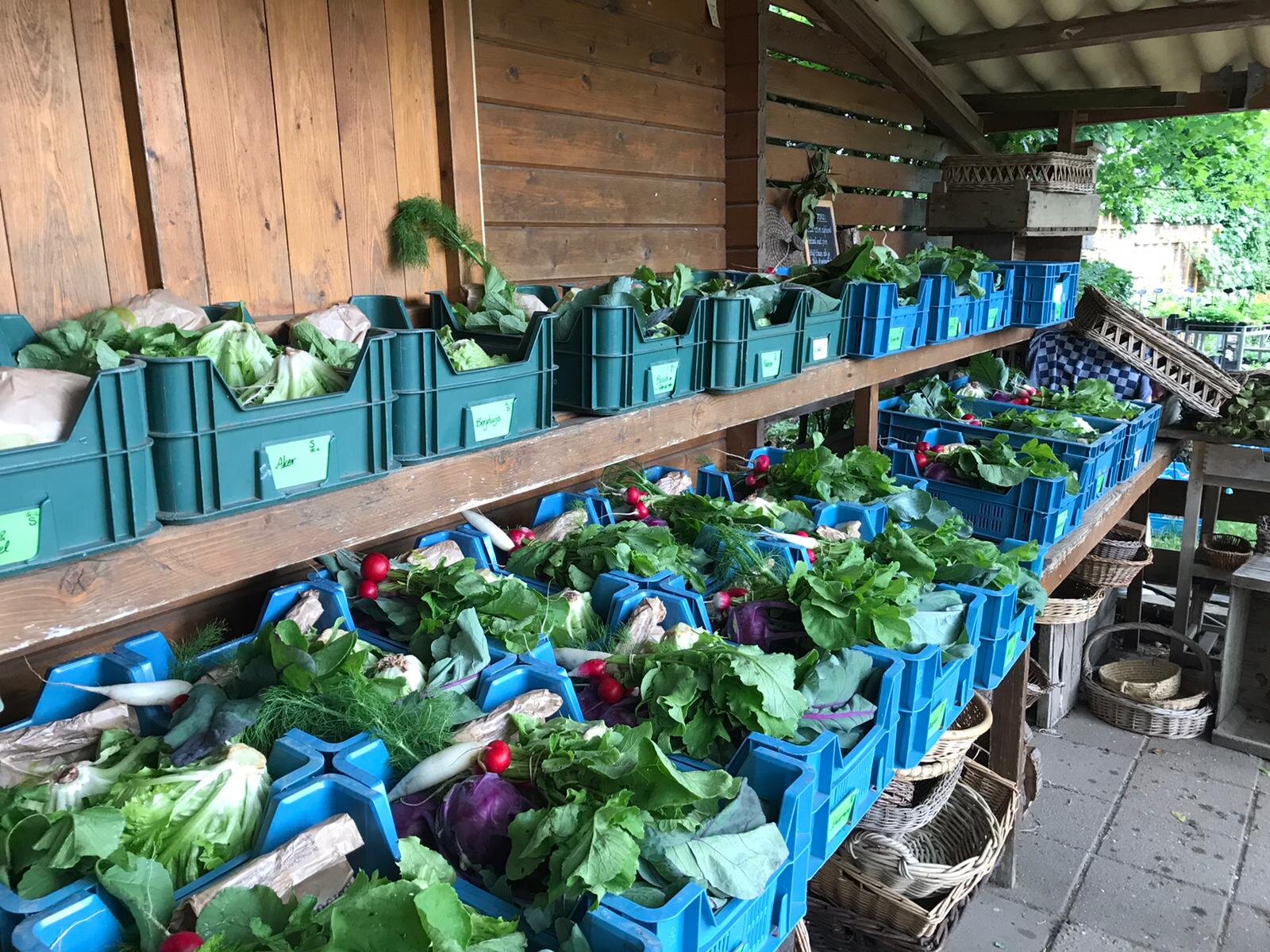 WhatsApp Image 2020-06-15 at 16.01.56 (1).jpeg