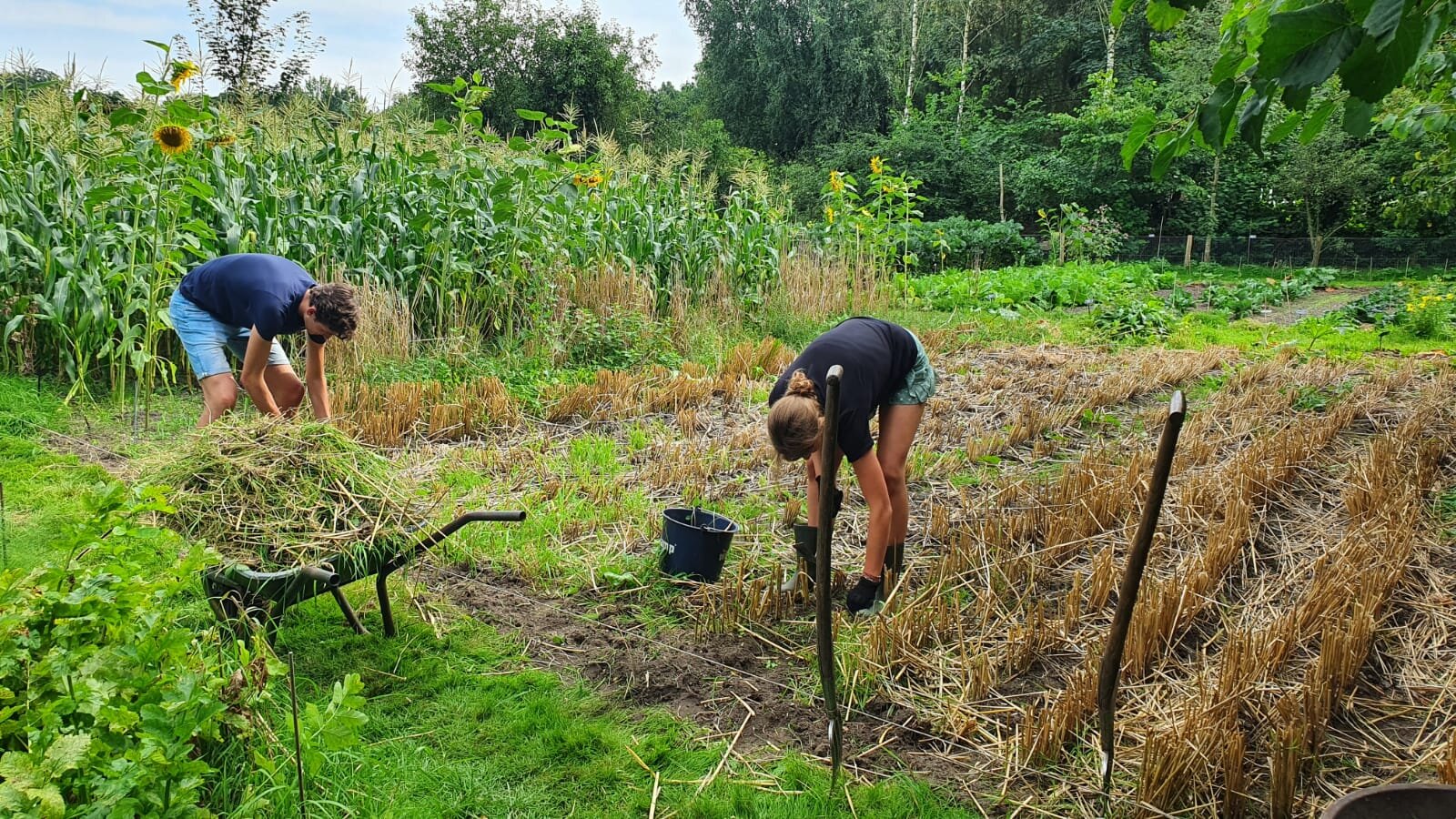 stagiaires aan het werk.jpeg