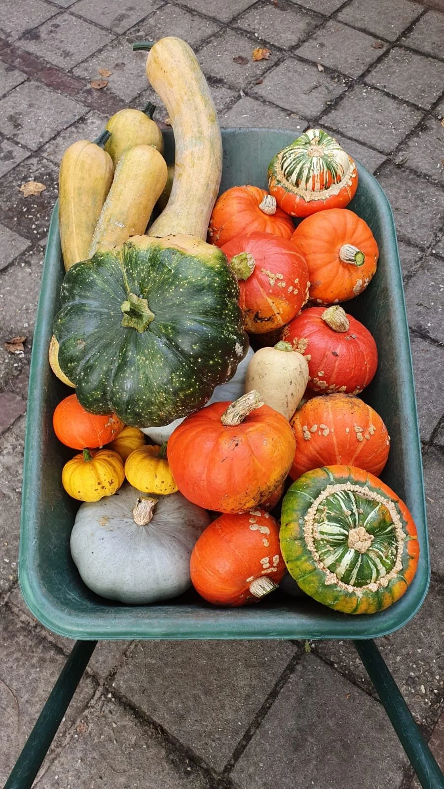 herfst en oogstfeest in aantocht