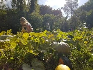 PHOTO-2022-09-21-16-51-36.jpg