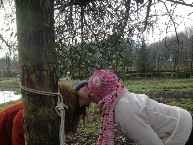 zoen onder de maretak.JPG