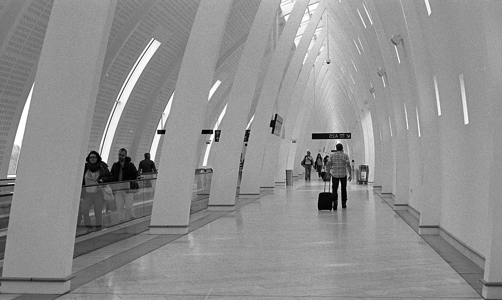 Scan020.jpg