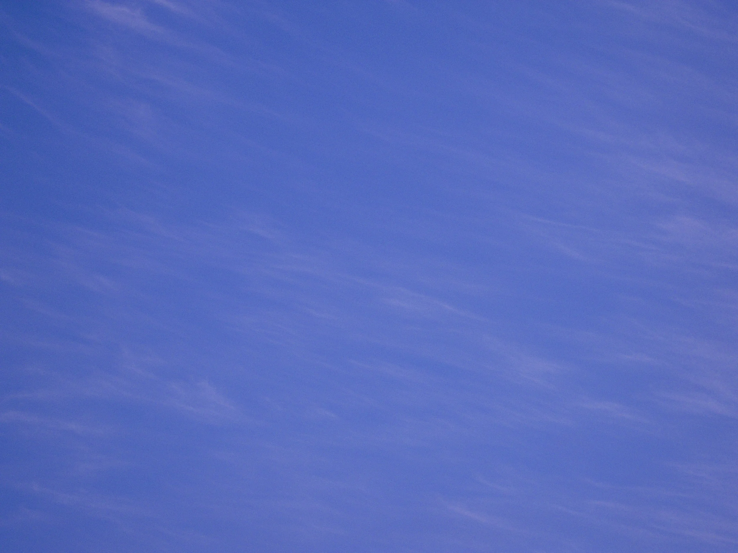 DSCN0042.jpg