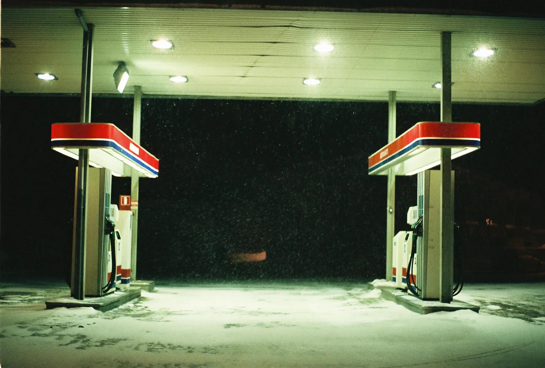 ellieberry.lapland.jpg