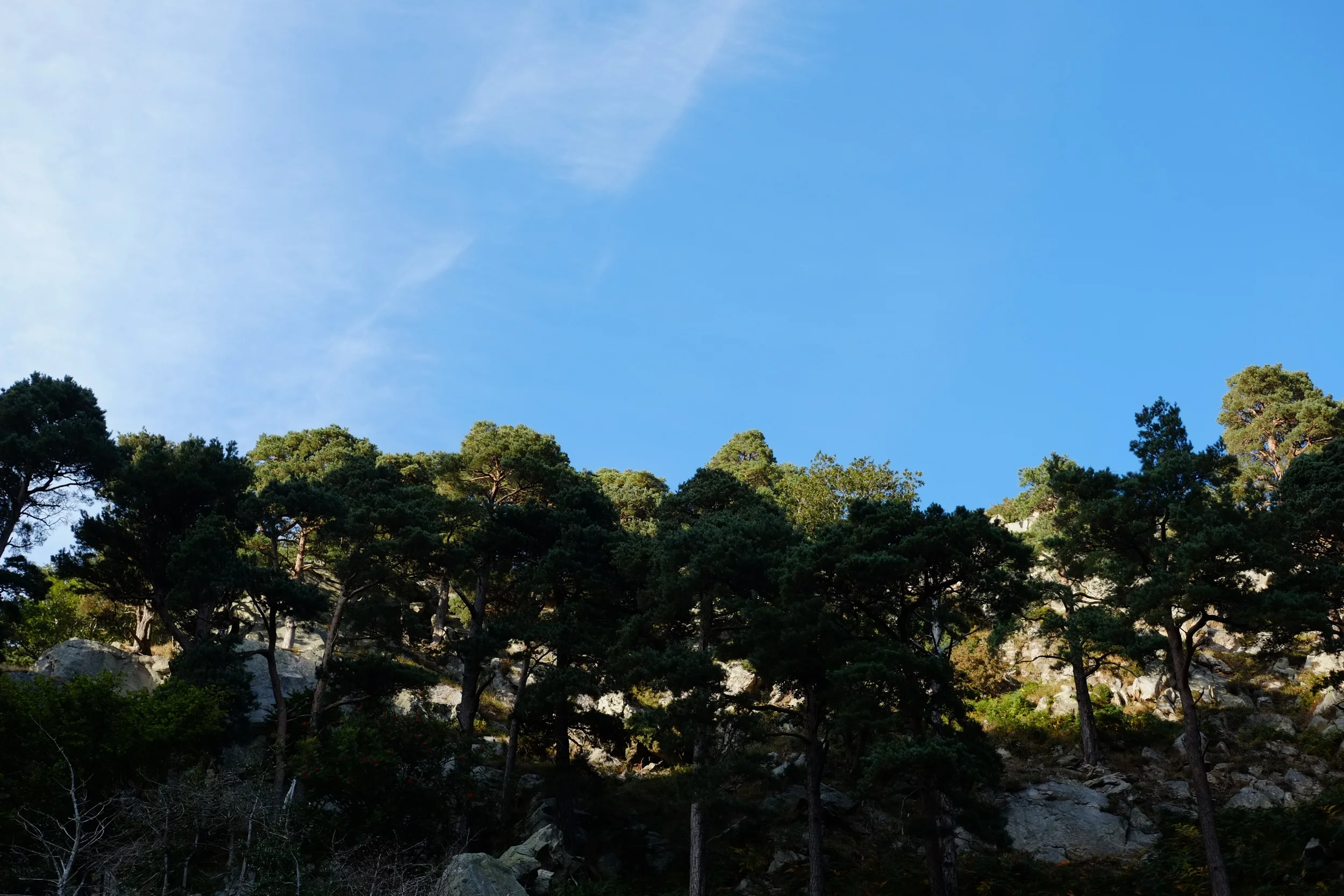 DSCF2378.JPG