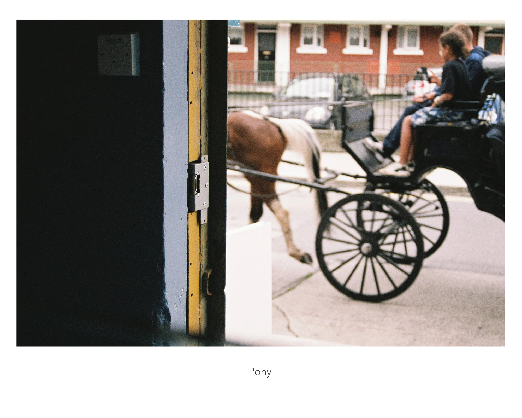 12_pony_web.jpg