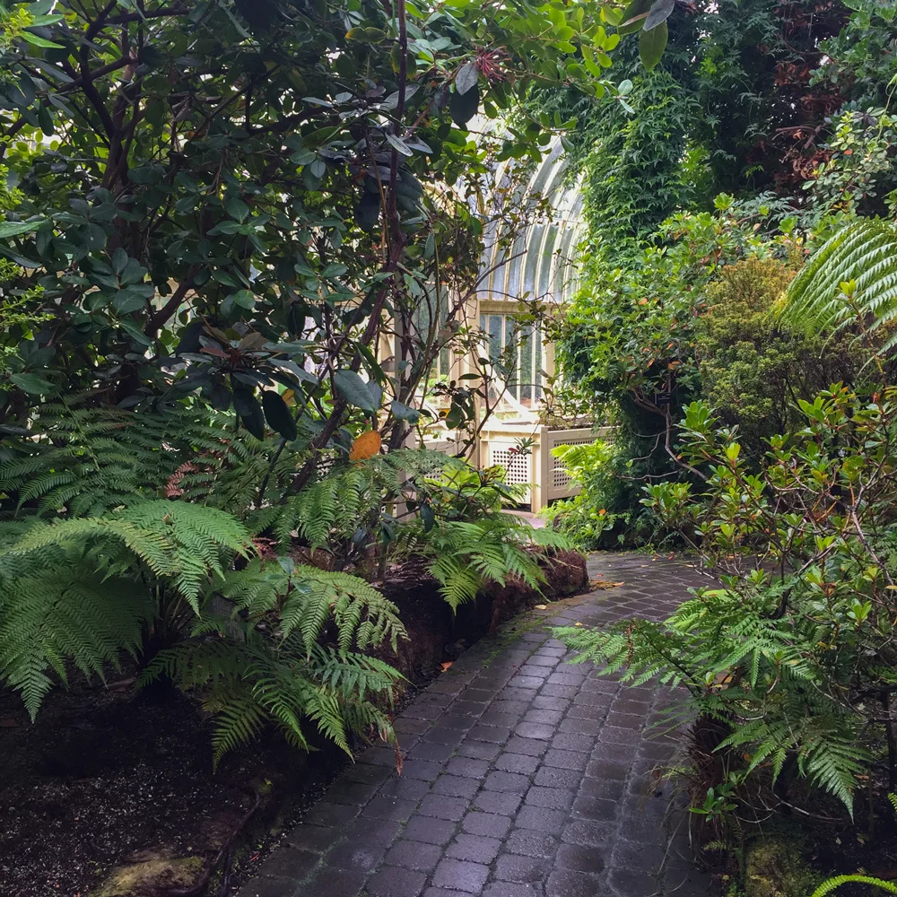 BotanicGardens005.jpg