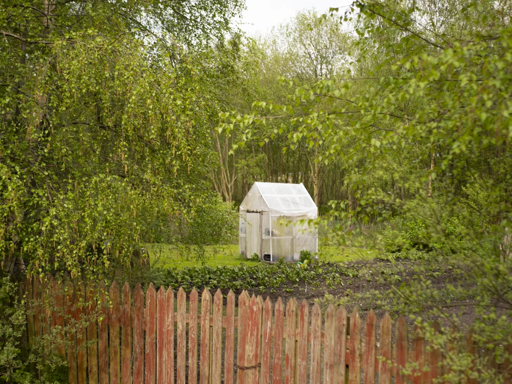 P1370771-web.jpg