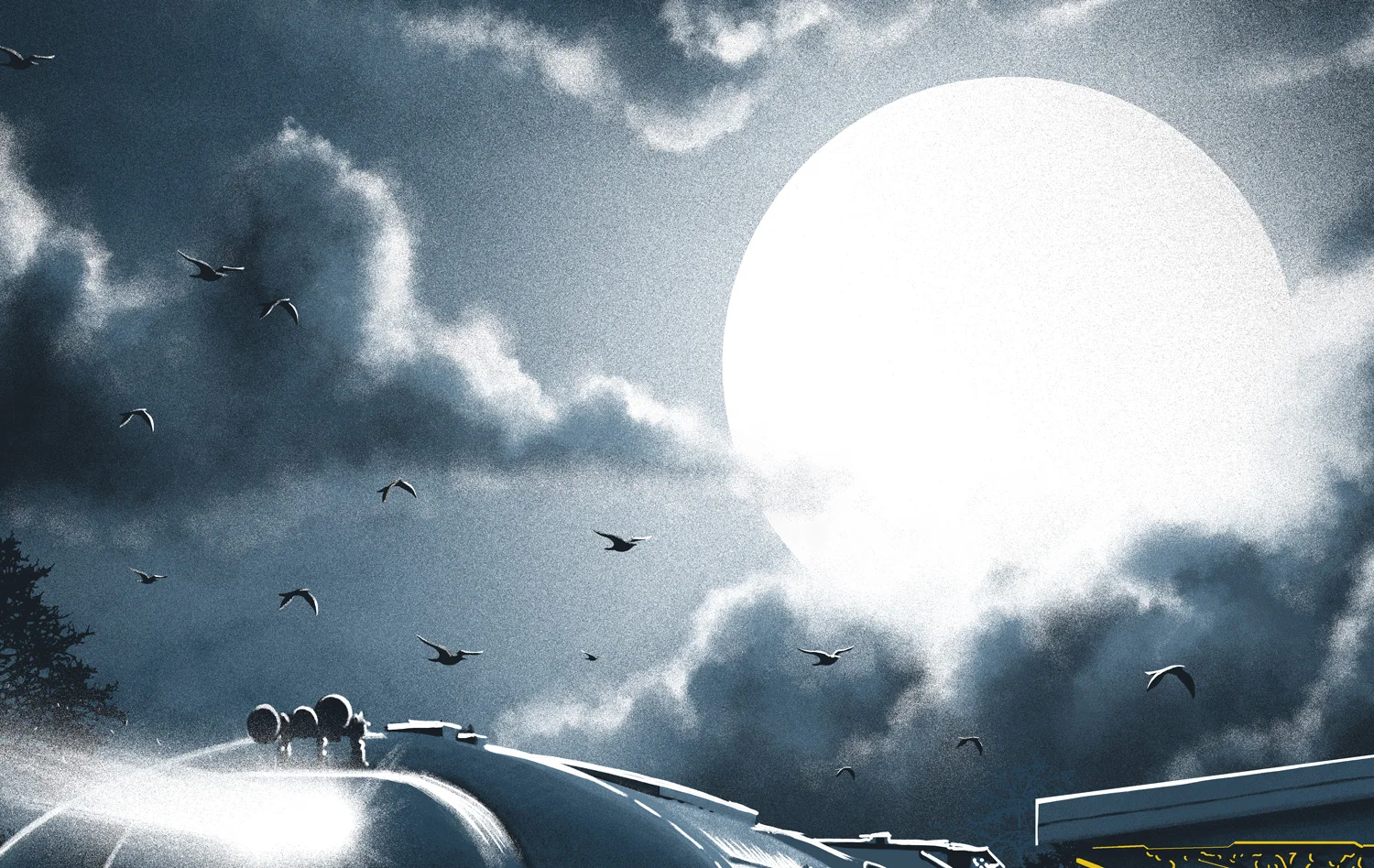 Train_TomMiatke_Crop3.jpg